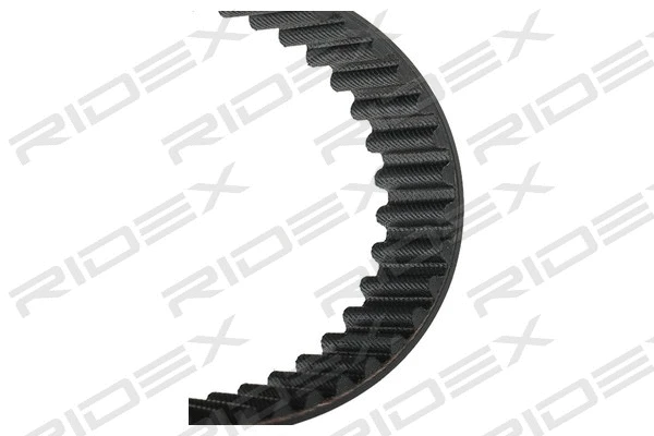 Timing Belt (306T0243)