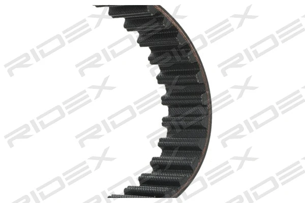 Timing Belt