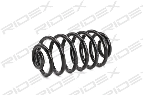 Suspension Spring (188C0061)