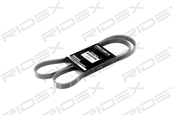 V-Ribbed Belt (305P0042)