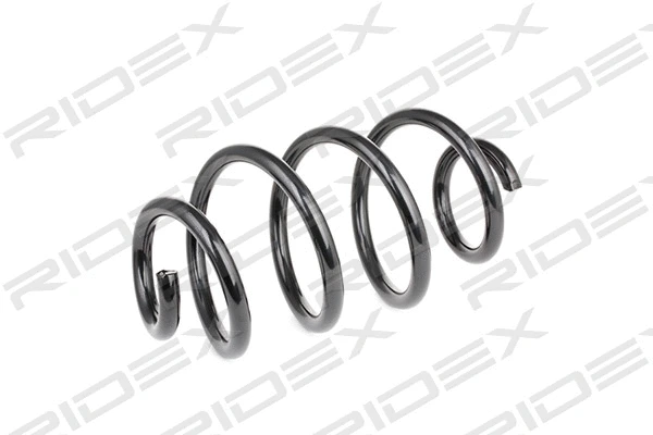 Suspension Spring (188C0491)