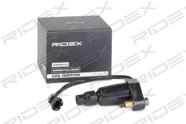 Ignition Coil (689C0325)
