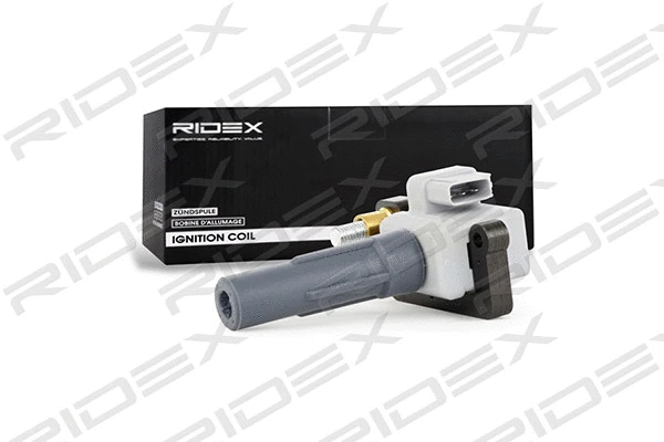 Ignition Coil (689C0238)