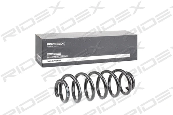 Suspension Spring (188C0424)