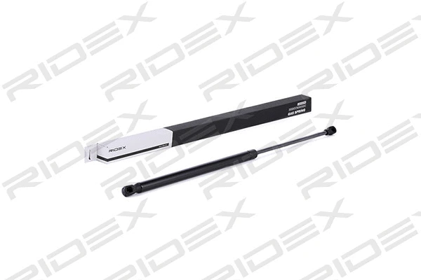 Gas Spring, boot/cargo area