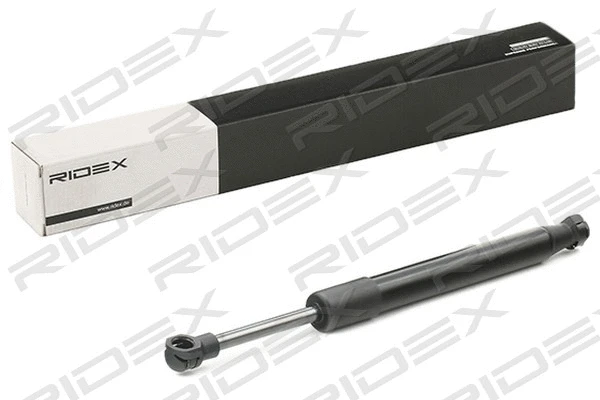 Gas Spring, boot/cargo area