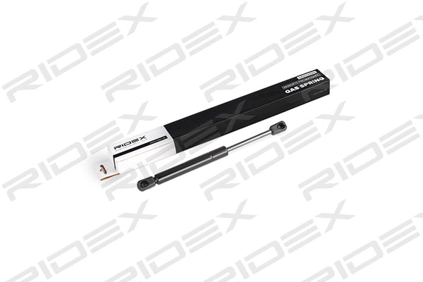 Gas Spring, boot/cargo area (219G0541)