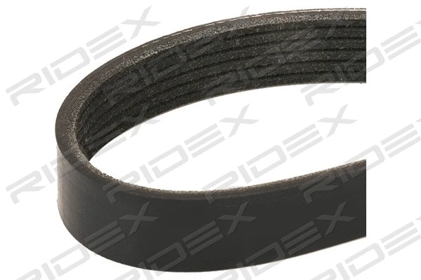 V-Ribbed Belt (305P0059)