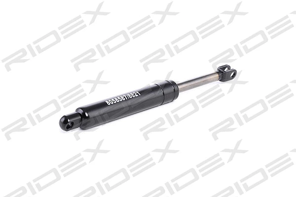 Gas Spring, boot/cargo area