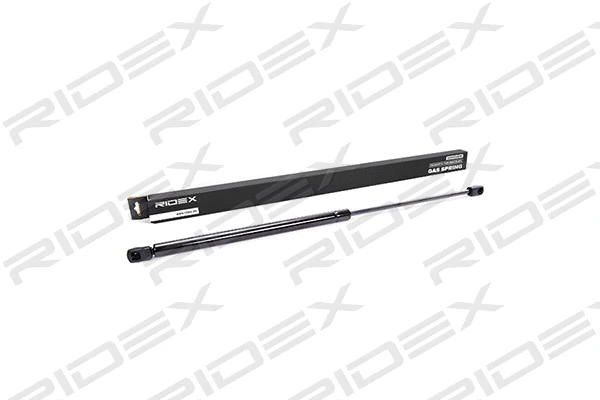 Gas Spring, boot/cargo area (219G0029)