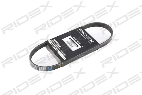 V-Ribbed Belt (305P0117)