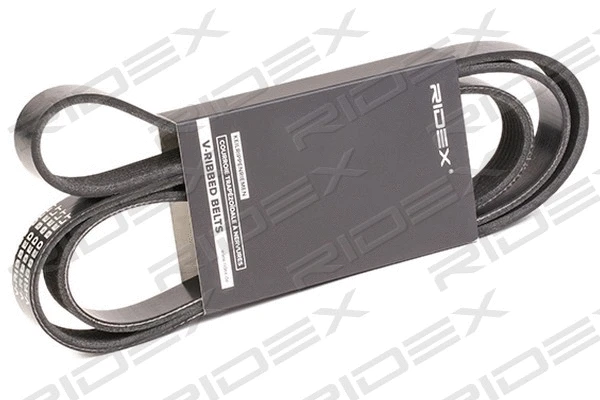 V-Ribbed Belt (305P0347)