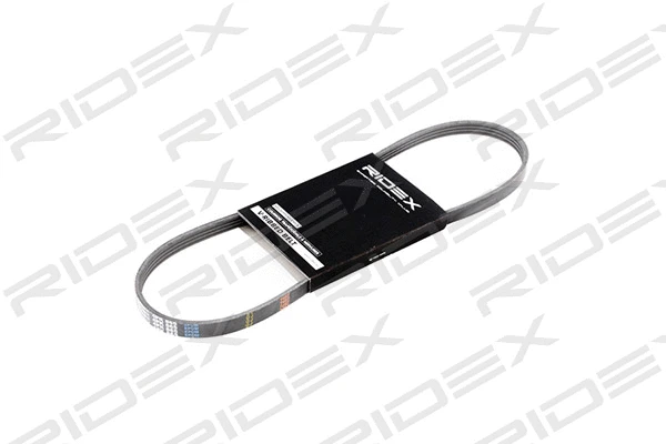 V-Ribbed Belt (305P0015)