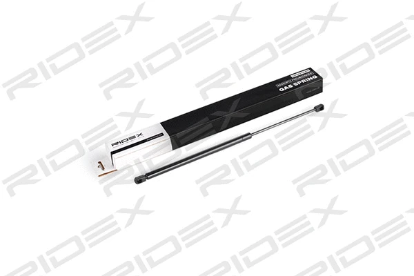 Gas Spring, boot/cargo area (219G0223)