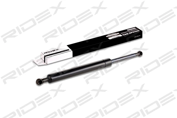 Gas Spring, boot/cargo area (219G0129)