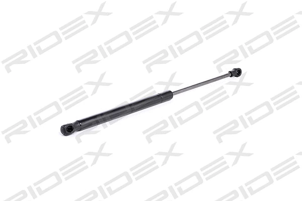 Gas Spring, boot/cargo area (219G0160)