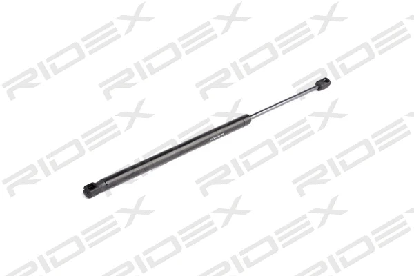 Gas Spring, boot/cargo area (219G0677)