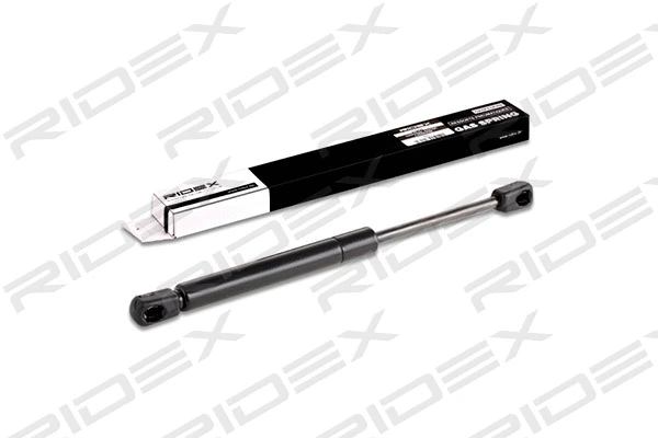 Gas Spring, boot/cargo area (219G0297)