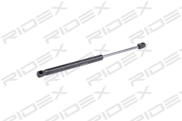 Gas Spring, boot/cargo area (219G0162)