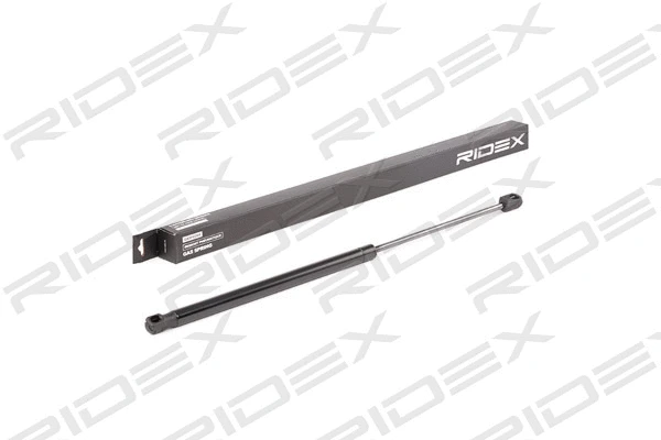 Gas Spring, boot/cargo area (219G0850)