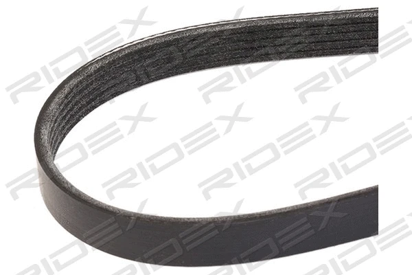 V-Ribbed Belt (305P0197)