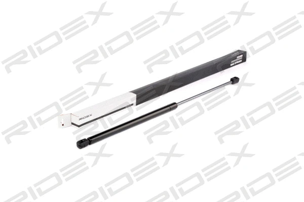 Gas Spring, boot/cargo area