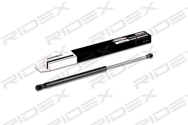 Gas Spring, boot/cargo area (219G0220)