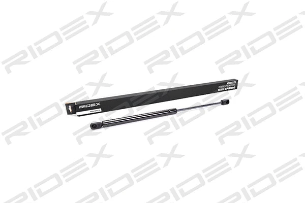 Gas Spring, boot/cargo area (219G0091)