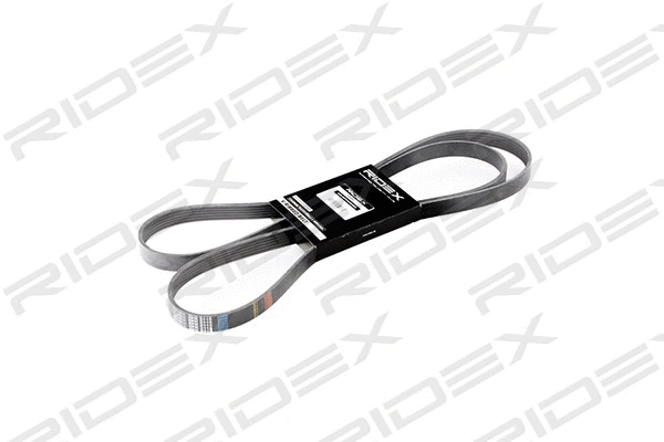 V-Ribbed Belt (305P0119)