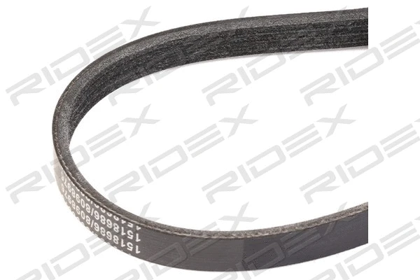 V-Ribbed Belt (305P0305)