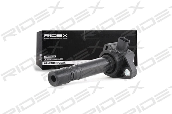 Ignition Coil (689C0189)