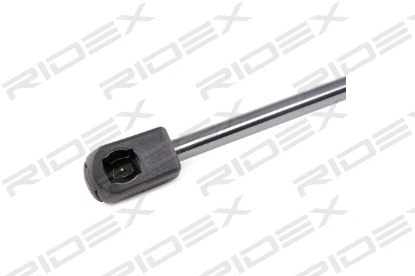 Gas Spring, boot/cargo area (219G0696)