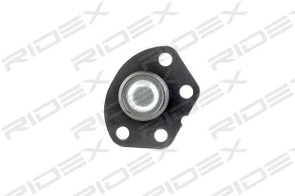 Ball Joint (2462S0099)