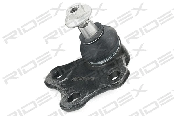 Ball Joint (2462S0401)