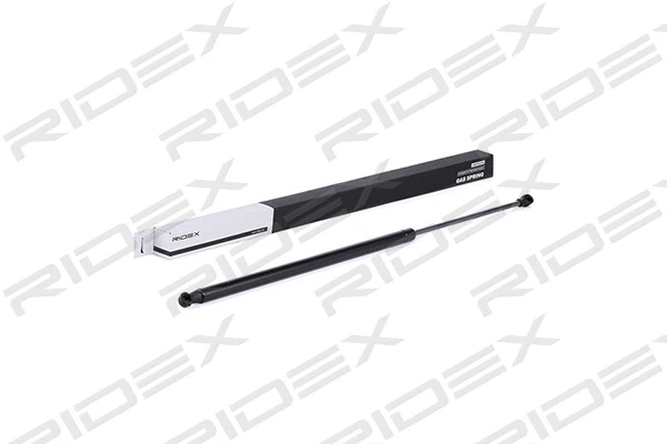 Gas Spring, boot/cargo area (219G0641)