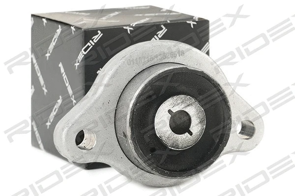 Mounting, control/trailing arm (251T0509)