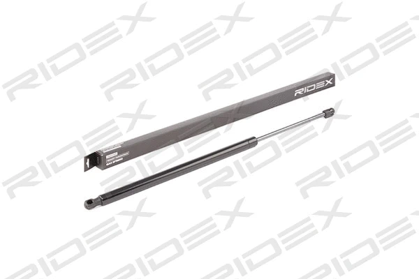 Gas Spring, boot/cargo area