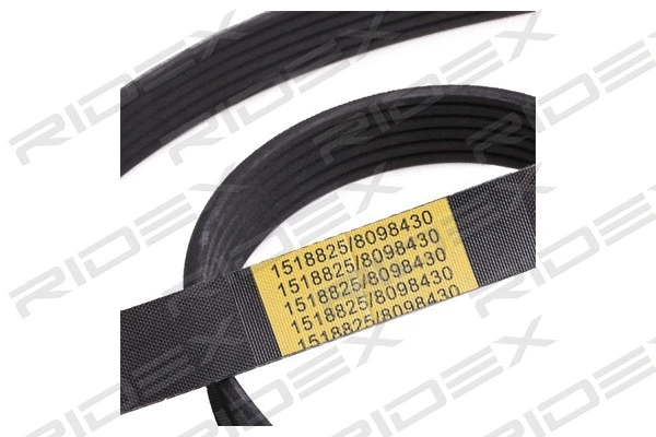 V-Ribbed Belt (305P0087)