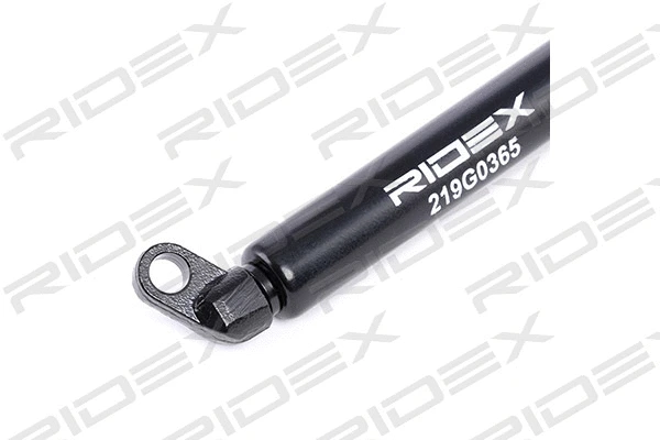 Gas Spring, boot/cargo area