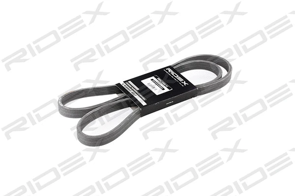 V-Ribbed Belt (305P0245)