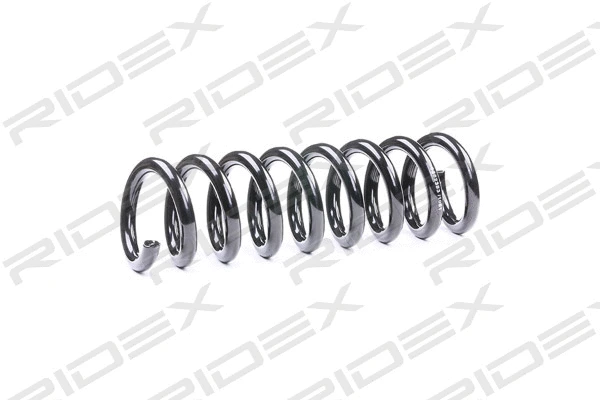 Suspension Spring (188C0220)