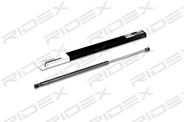 Gas Spring, boot/cargo area (219G0179)