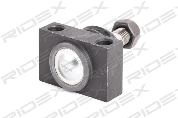 Ball Joint (2462S0060)