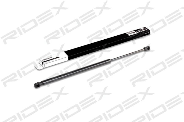 Gas Spring, boot/cargo area (219G0065)