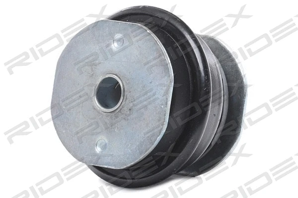 Bushing, axle beam (1080M0016)