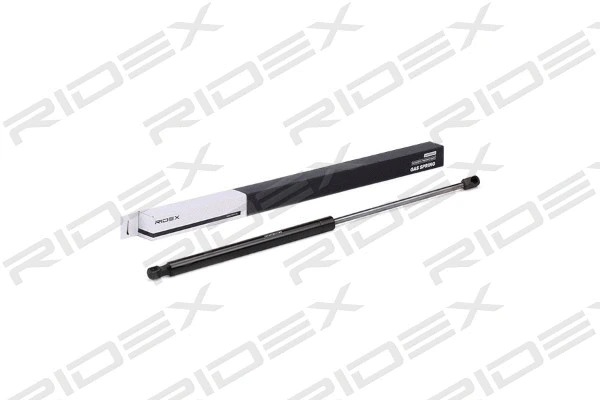 Gas Spring, boot/cargo area