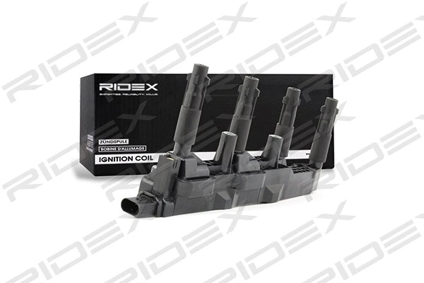 Ignition Coil (689C0225)
