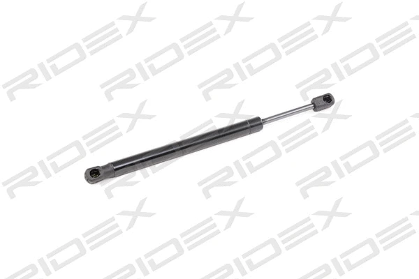 Gas Spring, boot/cargo area (219G0795)