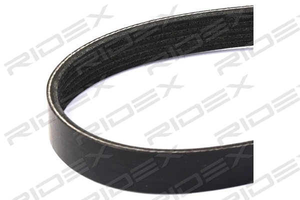 V-Ribbed Belt (305P0206)