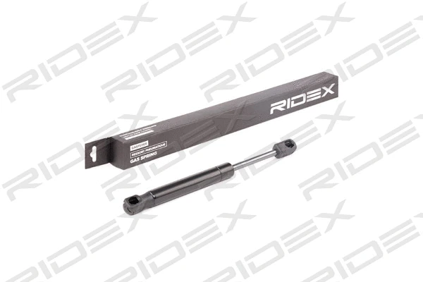 Gas Spring, boot/cargo area (219G0408)